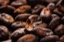 COCOA